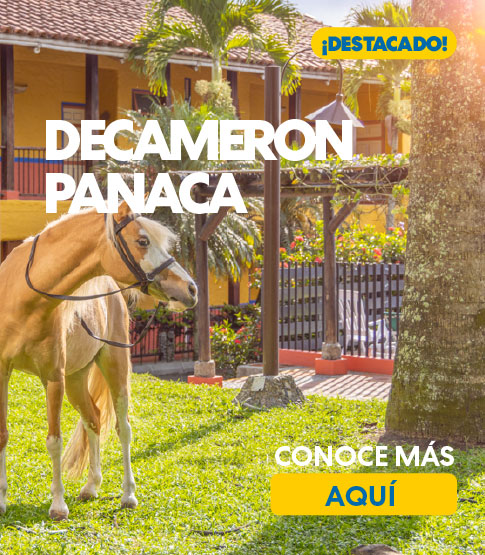 DECAMERON PANACA